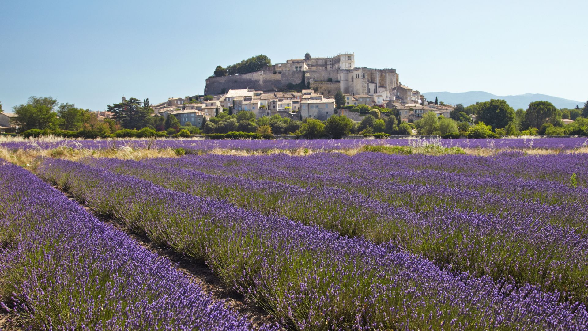 Château de Grignan